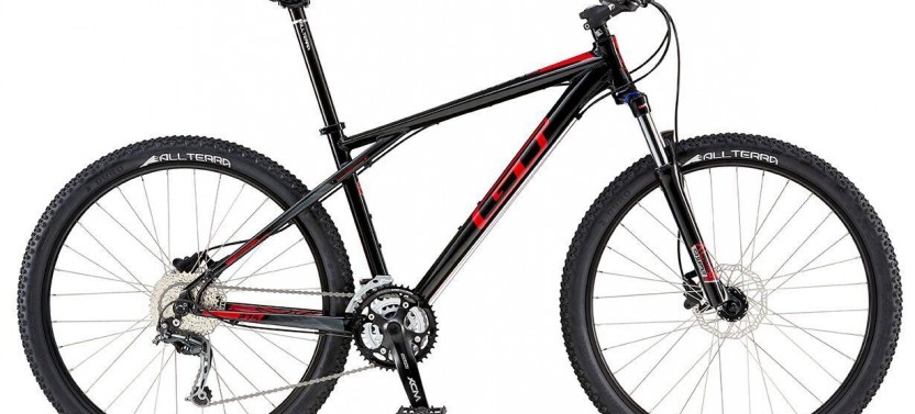 Half Day Bike Rentals