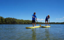 LETS GO SURFING2