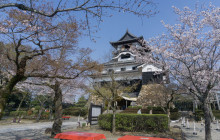 Beauty of Japan1