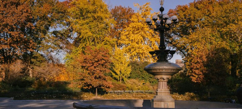 Friends Filming Locations in New York City with Private Guide