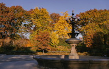 Friendly Local Guides, LLC3