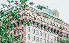 Friendly Local Guides, LLC6