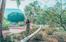 Friendly Local Guides, LLC18