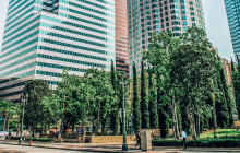 Friendly Local Guides, LLC24