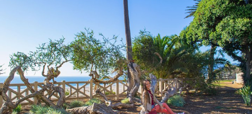 Self-Guided Santa Monica Tour with Fun Facts & Photo Opportunities