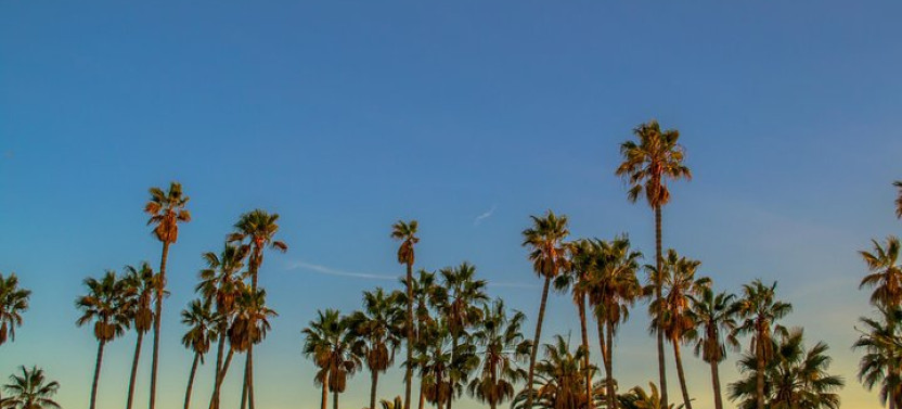 Self-Guided Santa Monica Tour with Fun Facts & Photo Opportunities