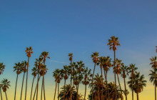 Friendly Local Guides, LLC3