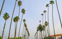 Friendly Local Guides, LLC13