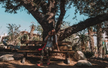 Friendly Local Guides, LLC7