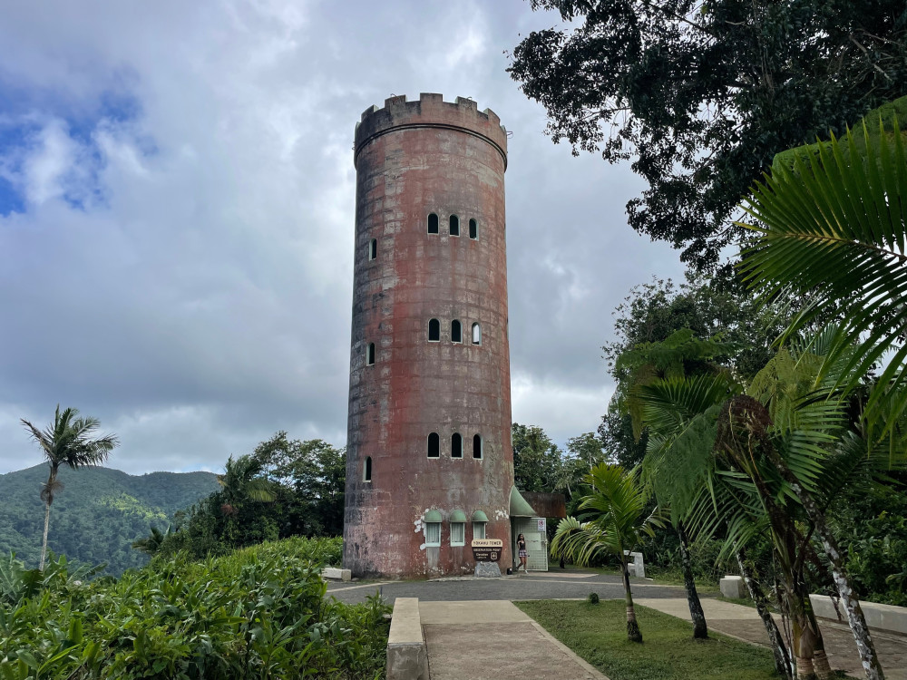 El Yunque Rainforest - Private Half Day Tour