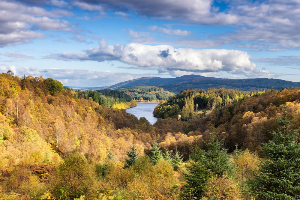 Loch Lomond and Trossachs Private Day Tour from Glasgow