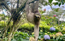 Itaway Ecotours2