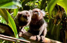 Itaway Ecotours3