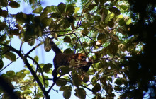 Itaway Ecotours6