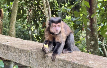 Itaway Ecotours9