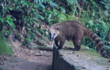 Itaway Ecotours10