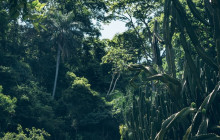 Itaway Ecotours12