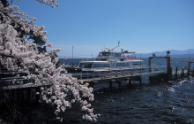 Beauty of Japan4