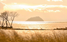 Beauty of Japan7