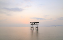 Beauty of Japan9