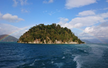 Beauty of Japan10