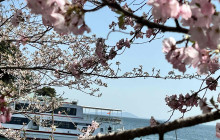 Beauty of Japan20