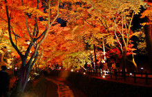 Beauty of Japan1