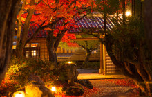 Beauty of Japan4