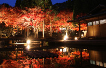 Beauty of Japan6