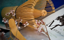 Beauty of Japan4