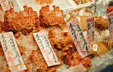 Beauty of Japan3