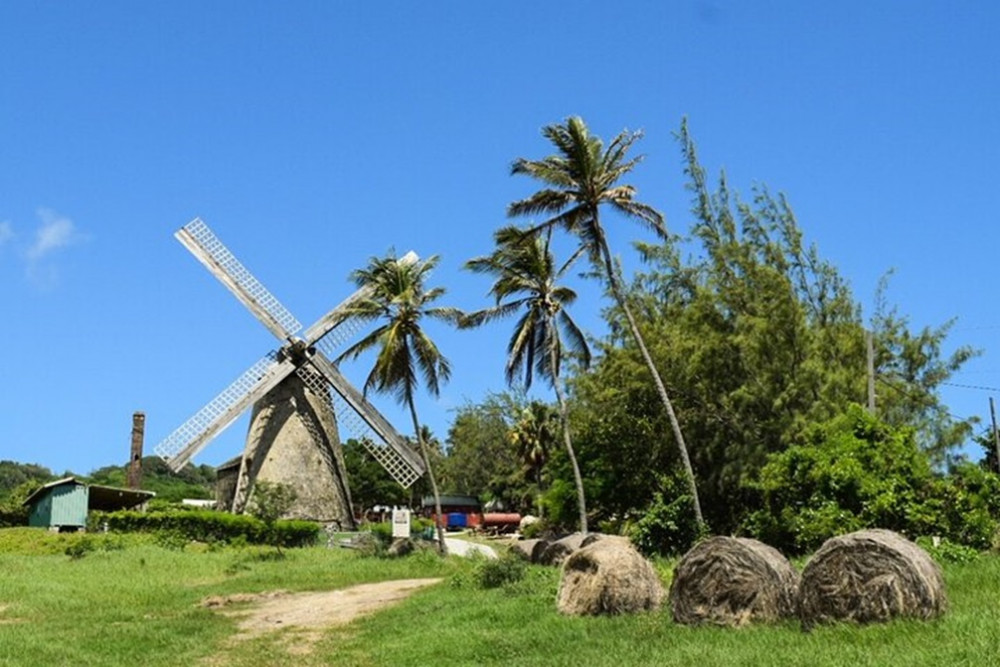 Beautiful Barbados Tours and Excursions Ltd