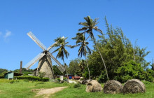 Beautiful Barbados Tours and Excursions Ltd15