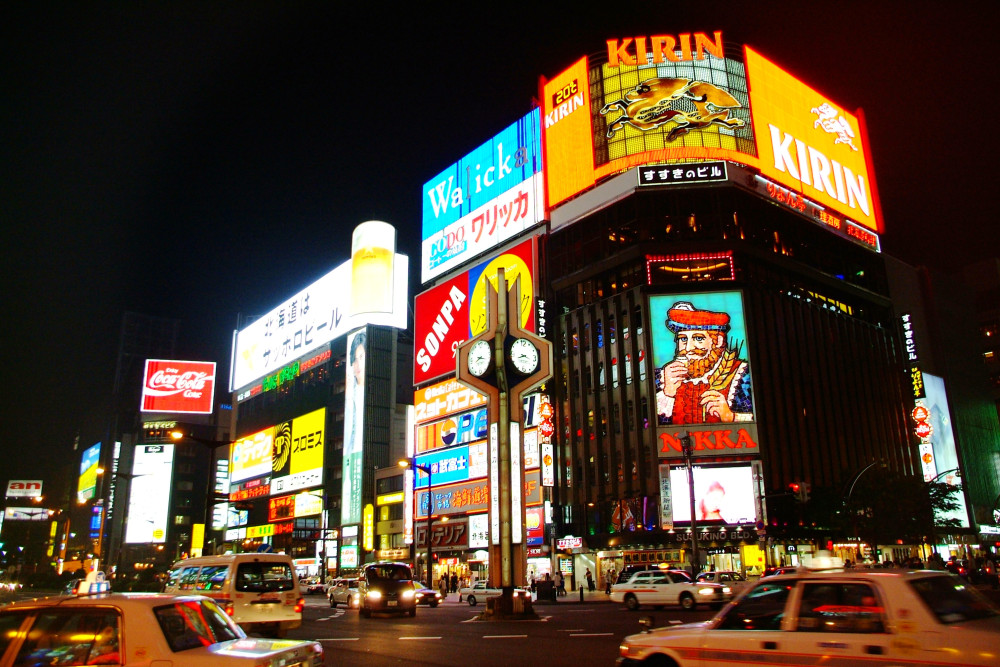Sapporo Private Transfer: New Chitose Airport to City or Vice Versa