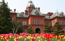 Beauty of Japan3