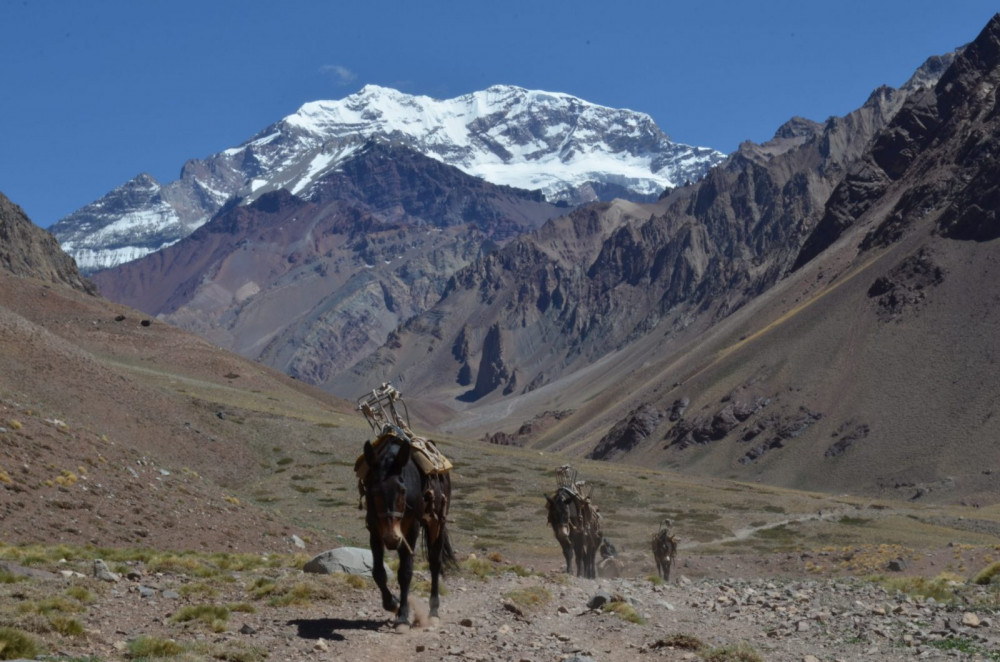 Hike to Confluencia – Aconcagua From Mendoza