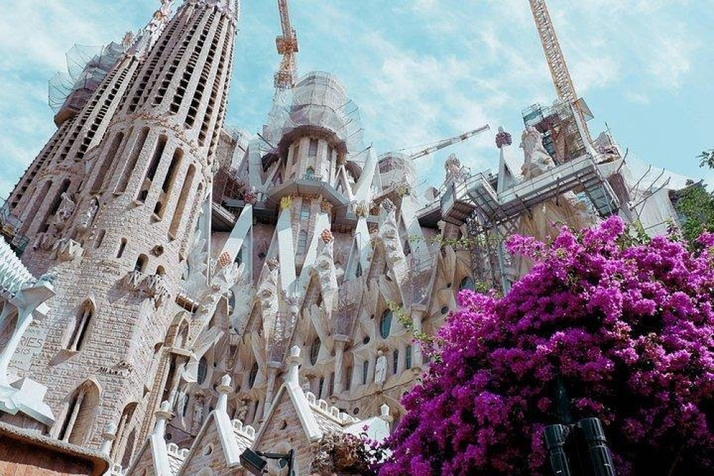 Private Park Güell & Sagrada Familia Guided Tour with Hotel Pickup