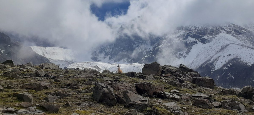 Full Day Andes Hiking Tour Mendoza