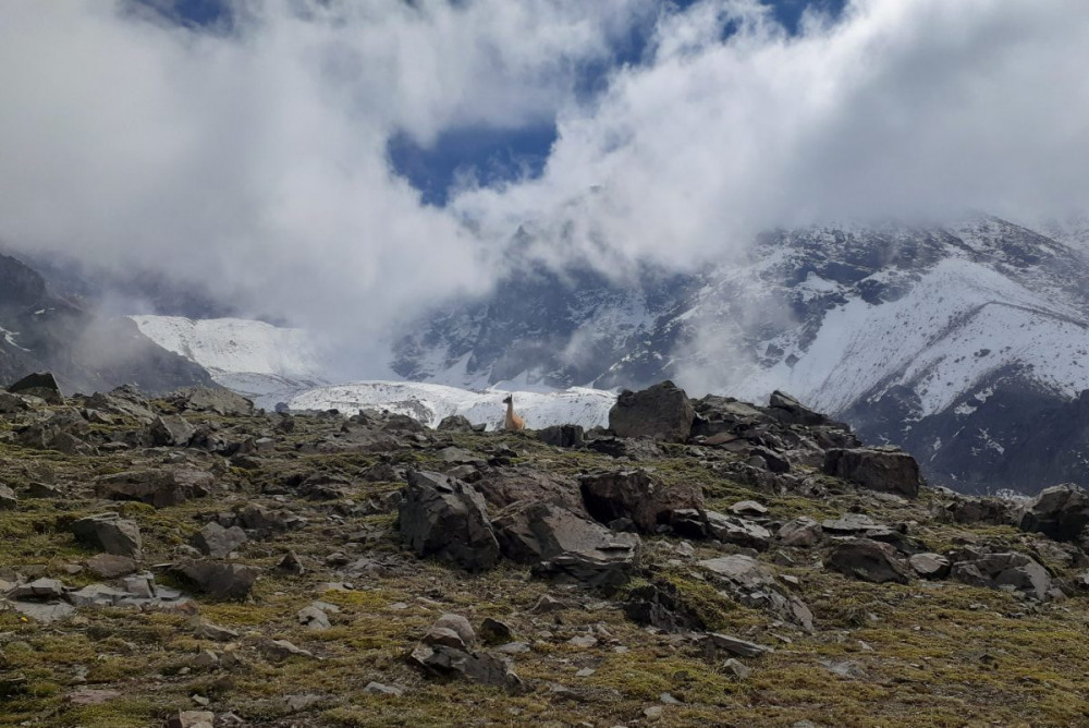 Full Day Andes Hiking Tour Mendoza