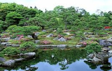 Beauty of Japan10