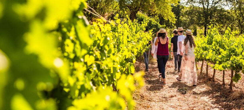 Montserrat Full Day Tour with Farmhouse Lunch and Winery Experience, photo 2 of 38