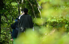 Beauty of Japan6