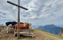 Swiss Epic Tours8