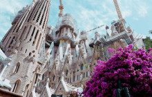 Barcelona Local Experiences SL10