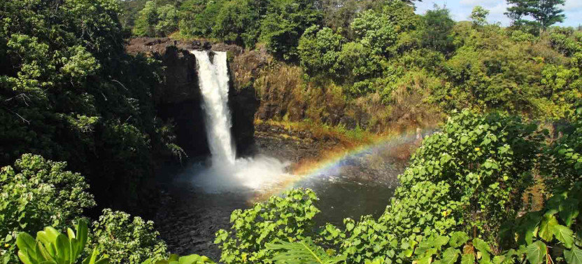 North Island Jungle Adventure Loop Self-Guided GPS Audio Tour