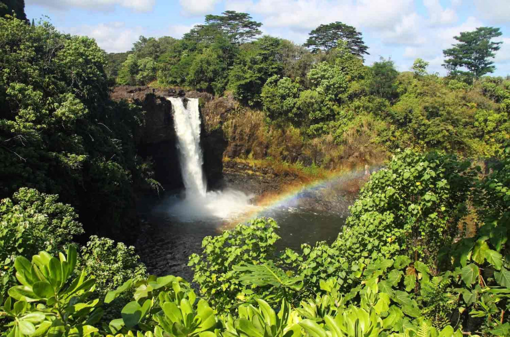 North Island Jungle Adventure Loop Self-Guided GPS Audio Tour