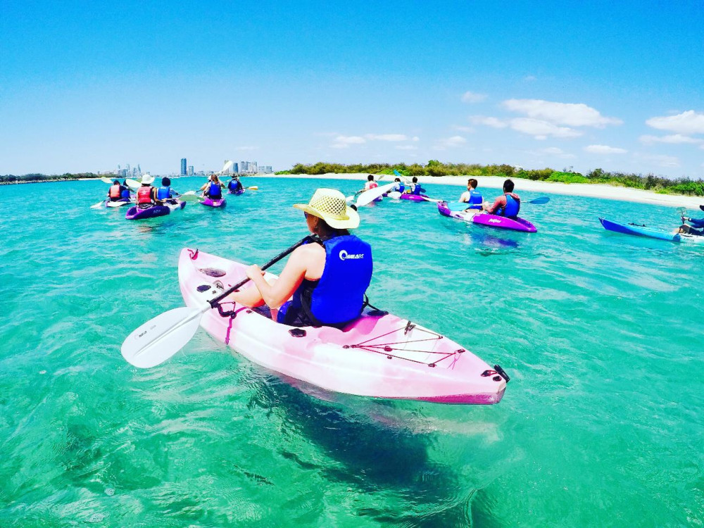 2 Hour Broadwater Dolphin Kayaking & Snorkeling Tour