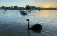 Australian Kayaking Adventures8