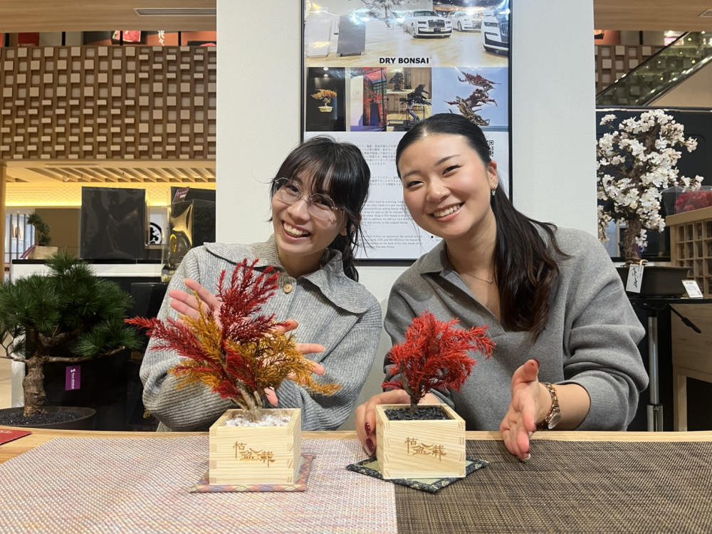 Dry Bonsai Workshop in Kyoto – Create Your Own Maintenance-Free Bonsai