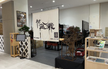 Beauty of Japan8